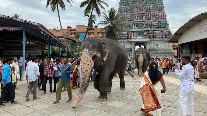 Sri Sringeri Shankara Mata